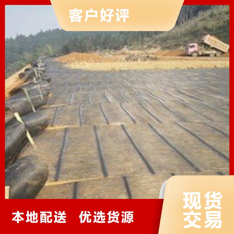 玻纖土工格柵_鋼塑土工格柵_塑料土工格柵廠家直銷