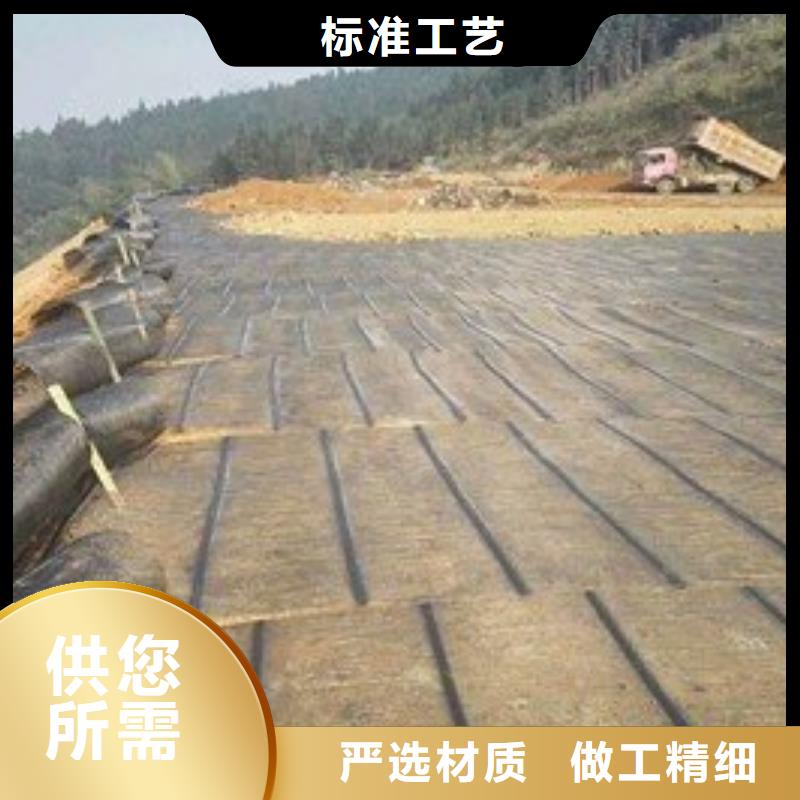 土工格柵-玻纖格柵廠家直銷