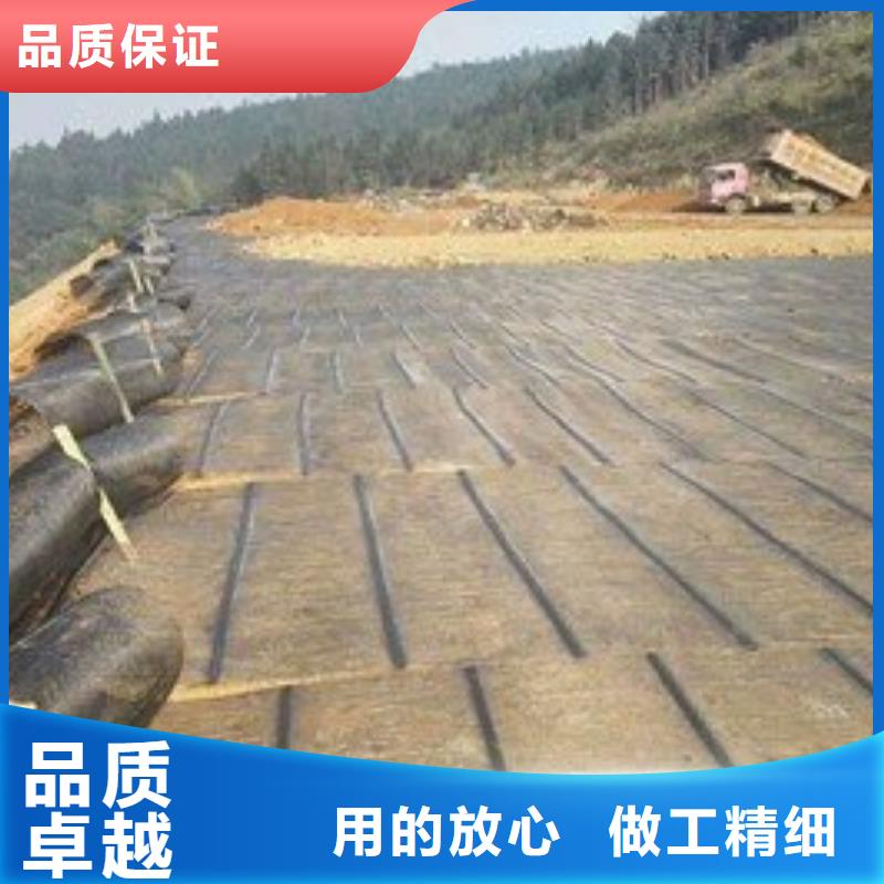 土工格柵-玻纖格柵廠家直銷