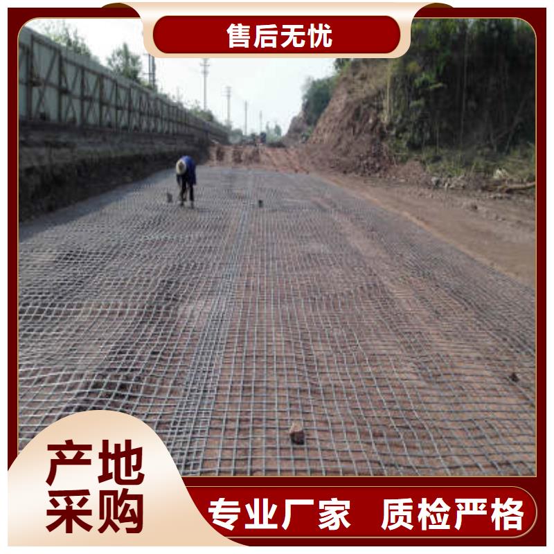 經編滌綸土工格柵廠家防滲反濾道路養護環保防塵
