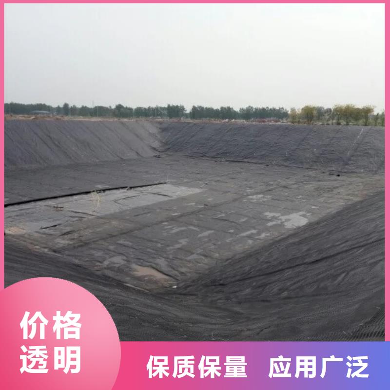 經(jīng)編滌綸土工格柵廠家防滲反濾道路養(yǎng)護(hù)環(huán)保防塵