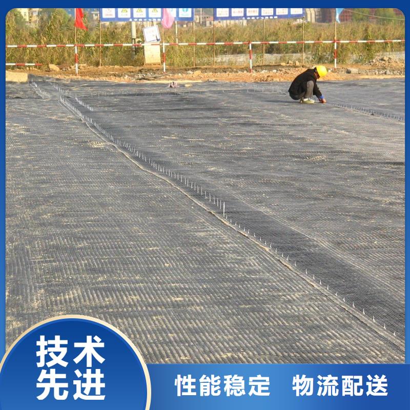 經(jīng)編滌綸土工格柵廠家防滲反濾道路養(yǎng)護(hù)環(huán)保防塵