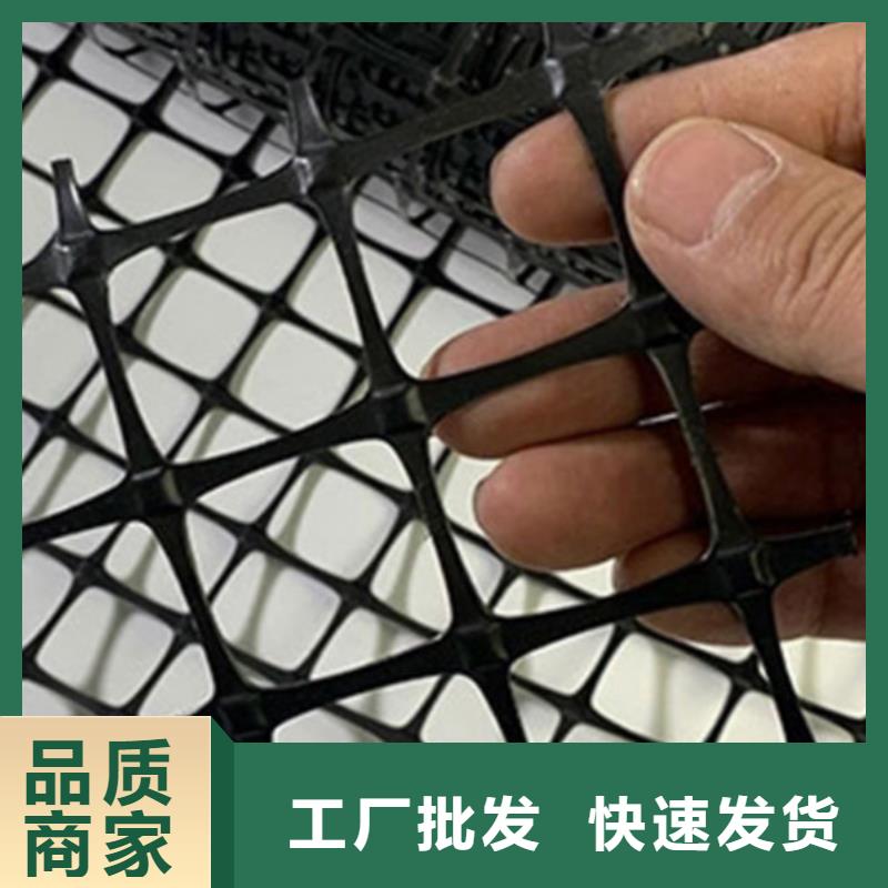鋼塑土工格柵生產基地|玻纖土工格柵廠家批發價格