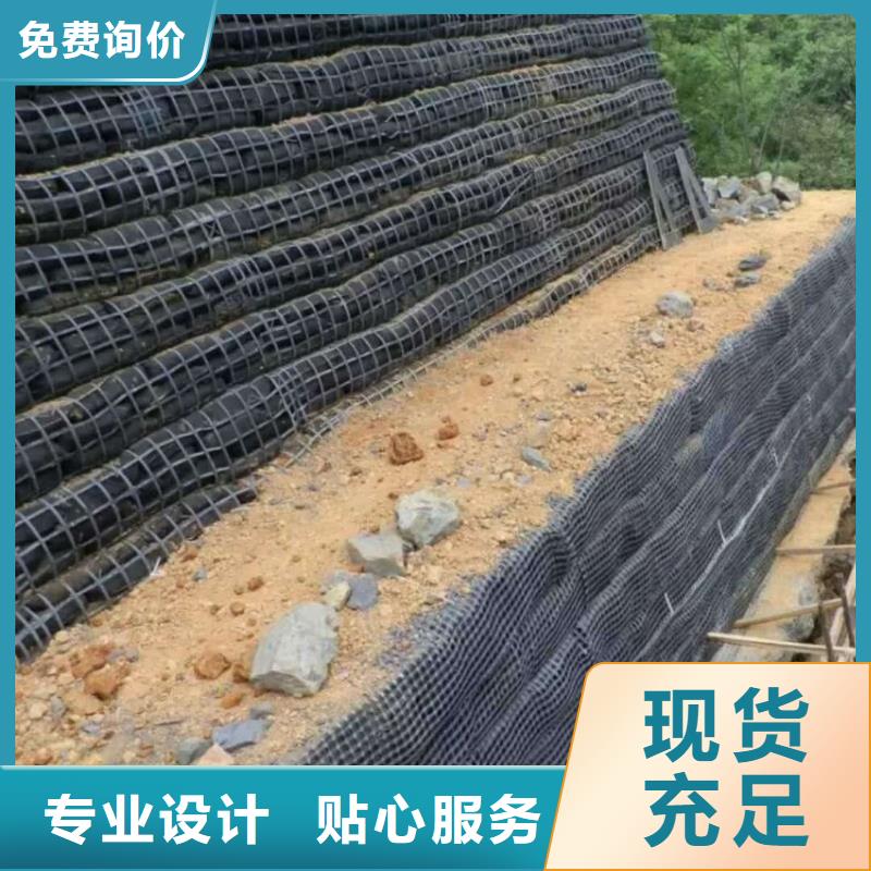 土工格柵多向塑料土工格柵種類齊全
