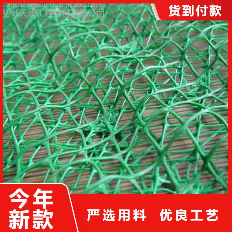 植生毯|三維植被網廠家|椰絲毯|三維抗侵蝕防護毯