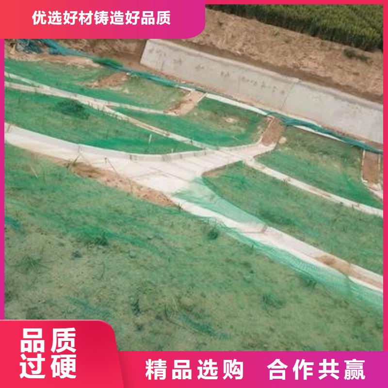三維植被網,雙向塑料土工格柵精選好貨