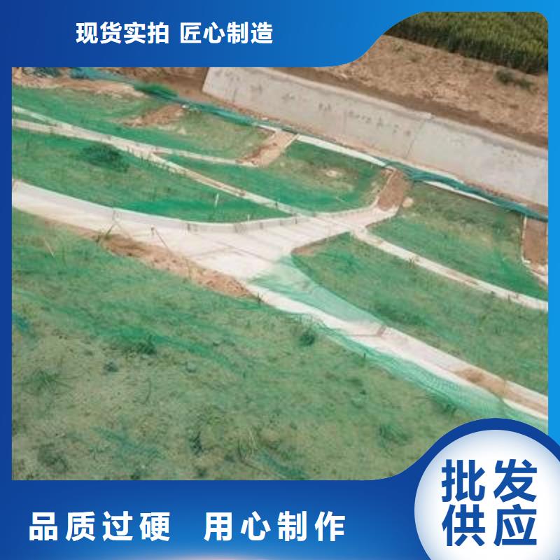 【三維植被網(wǎng)】鋼塑土工格柵廠家源頭廠家