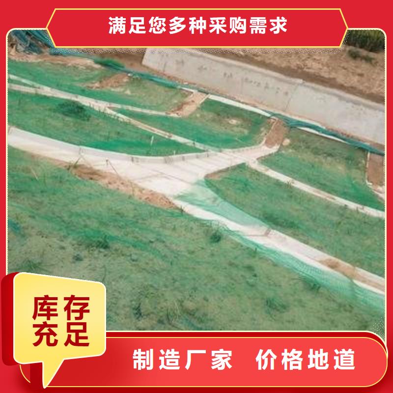 【三維植被網(wǎng)-長絲無紡?fù)凉げ紝I(yè)完善售后】