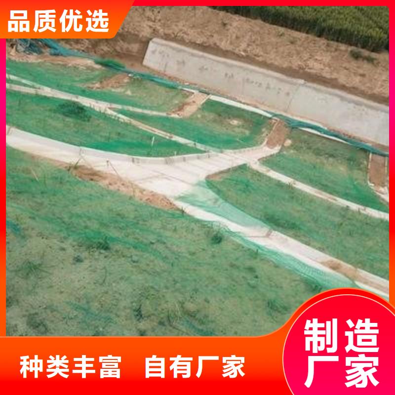 三维植被网钢塑土工格栅厂家工程施工案例