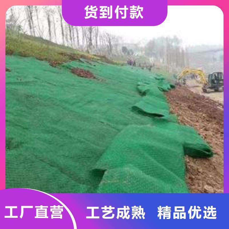 三維植被網(wǎng)凸結(jié)點(diǎn)鋼塑土工格柵材質(zhì)實(shí)在