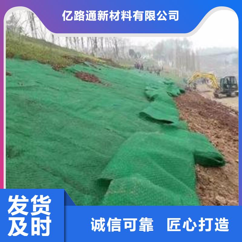 三维植被网玻纤土工格栅按需定做