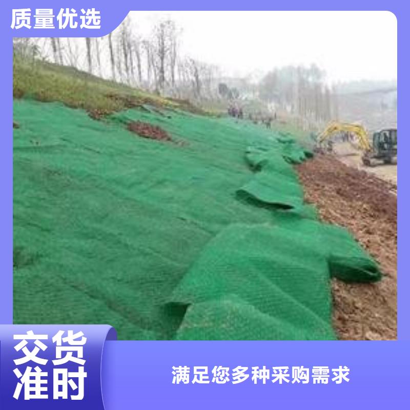 三維植被網【鋼塑土工格柵廠家】好品質用的放心