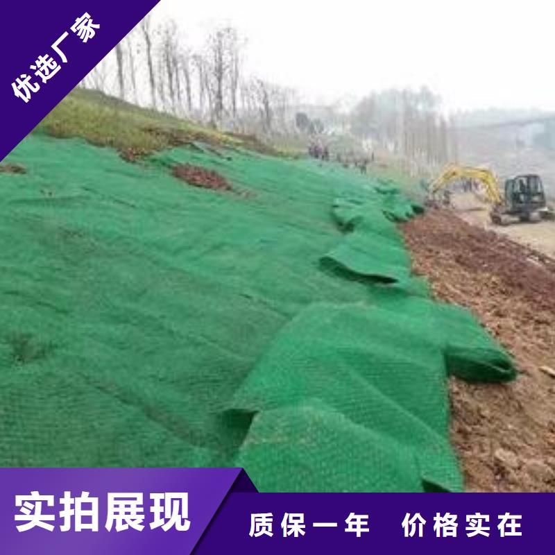 【三維植被網(wǎng)鋼塑土工格柵廠家用心經(jīng)營(yíng)】