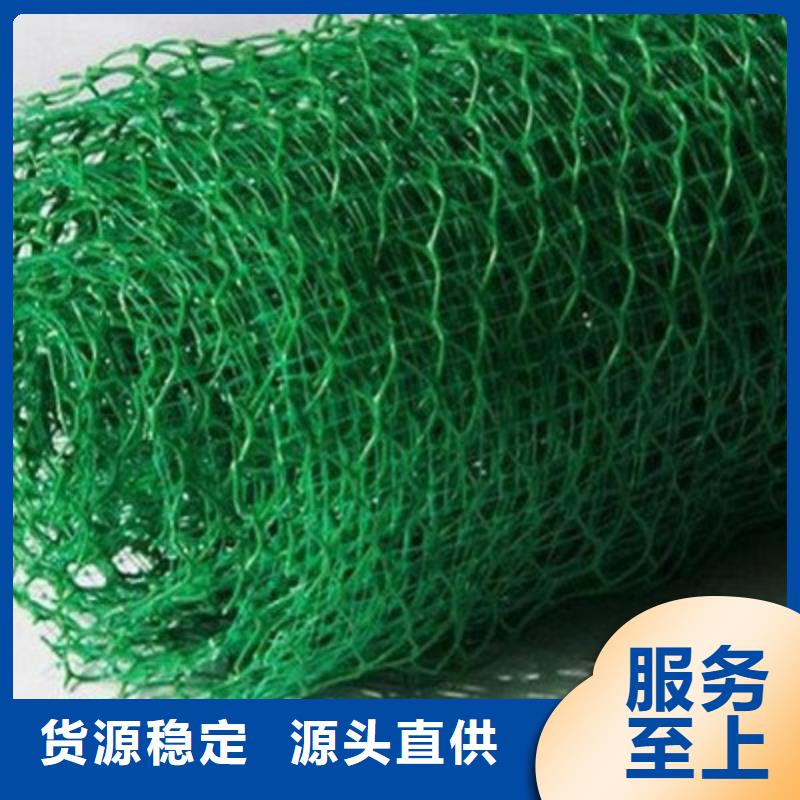 【三維植被網】_土工席墊現貨銷售