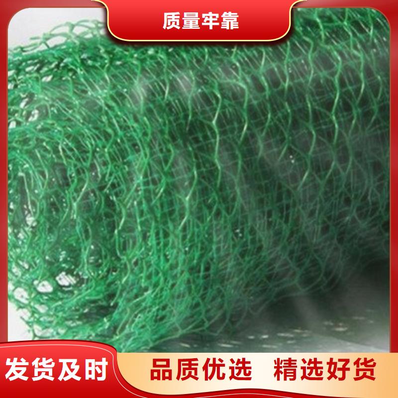 三維植被網(wǎng)HDPE土工膜助您降低采購(gòu)成本