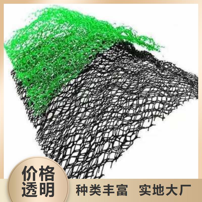 【三維植被網(wǎng)鋼塑土工格柵廠家用心經(jīng)營(yíng)】