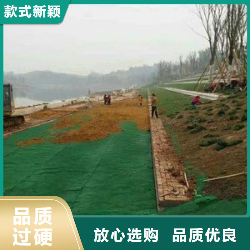 三維植被網【土工布批發】品質好才是硬道理