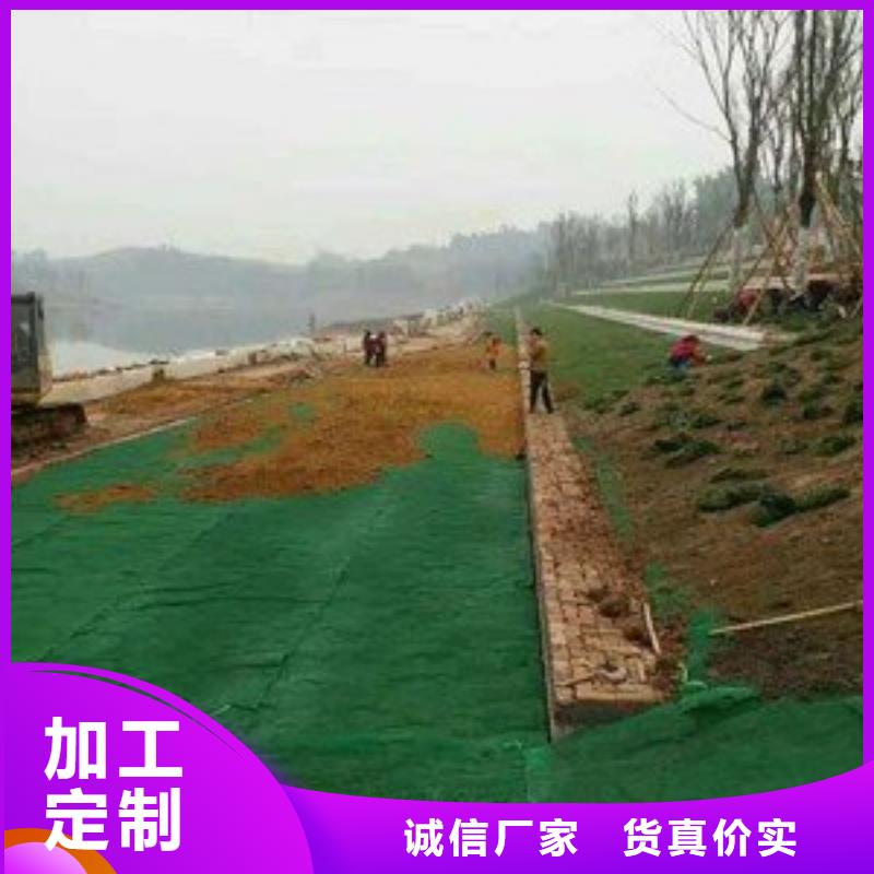 【三維植被網膨潤土防水毯一站式采購方便省心】