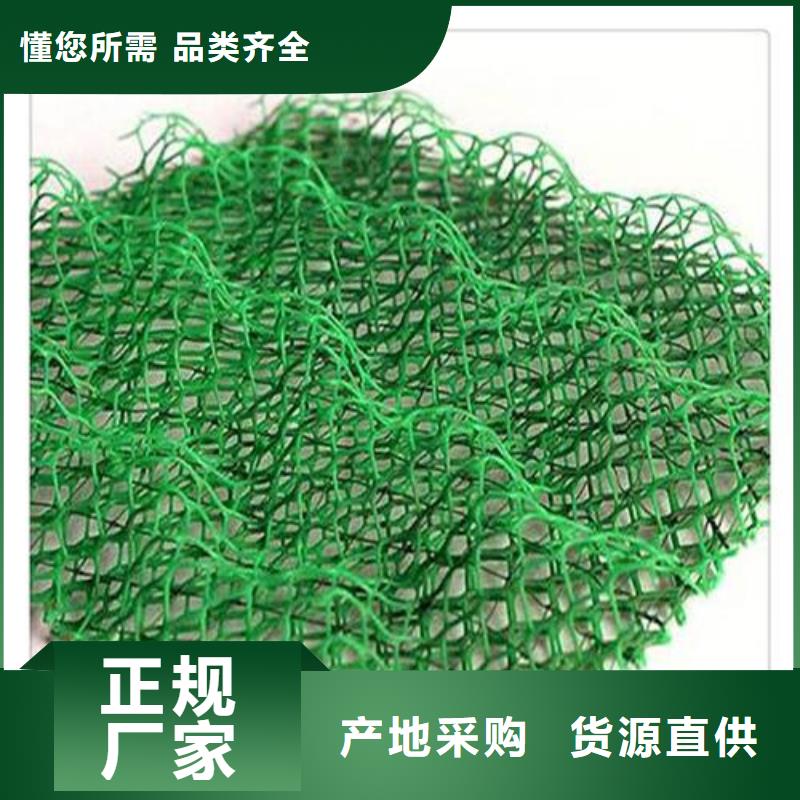 三維植被網三維土工網墊做工精細