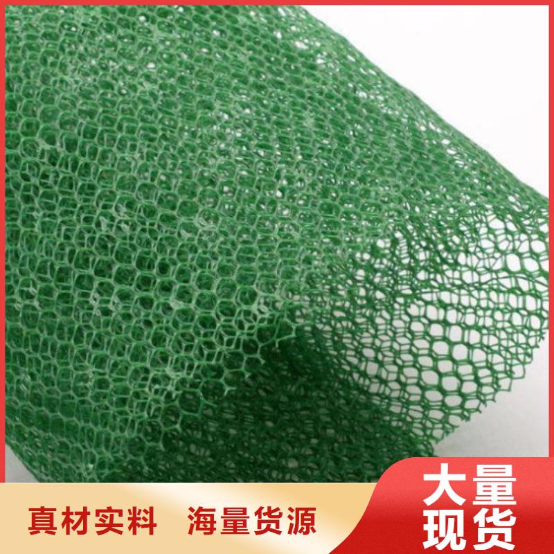 三維植被網滌綸土工格柵品牌專營