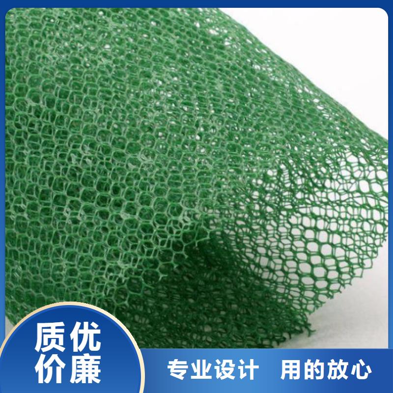 三維植被網(wǎng)凸結(jié)點(diǎn)鋼塑土工格柵材質(zhì)實(shí)在