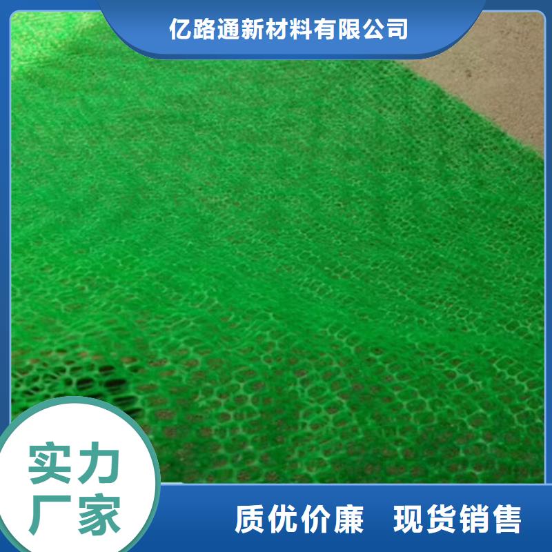 EM3三維植被網哪里有賣？-廠家地址