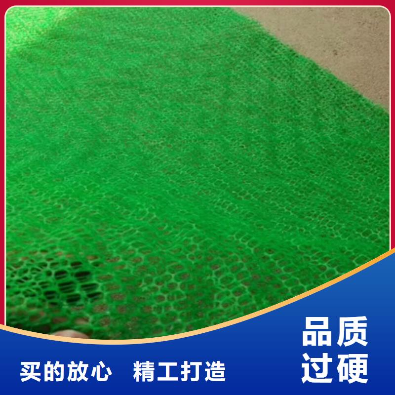三維植被網有什么作用、價格是多少