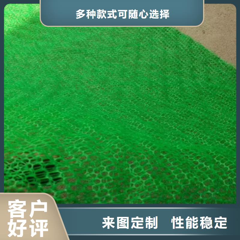 三維植被網(wǎng)【滌綸土工格柵】誠信可靠
