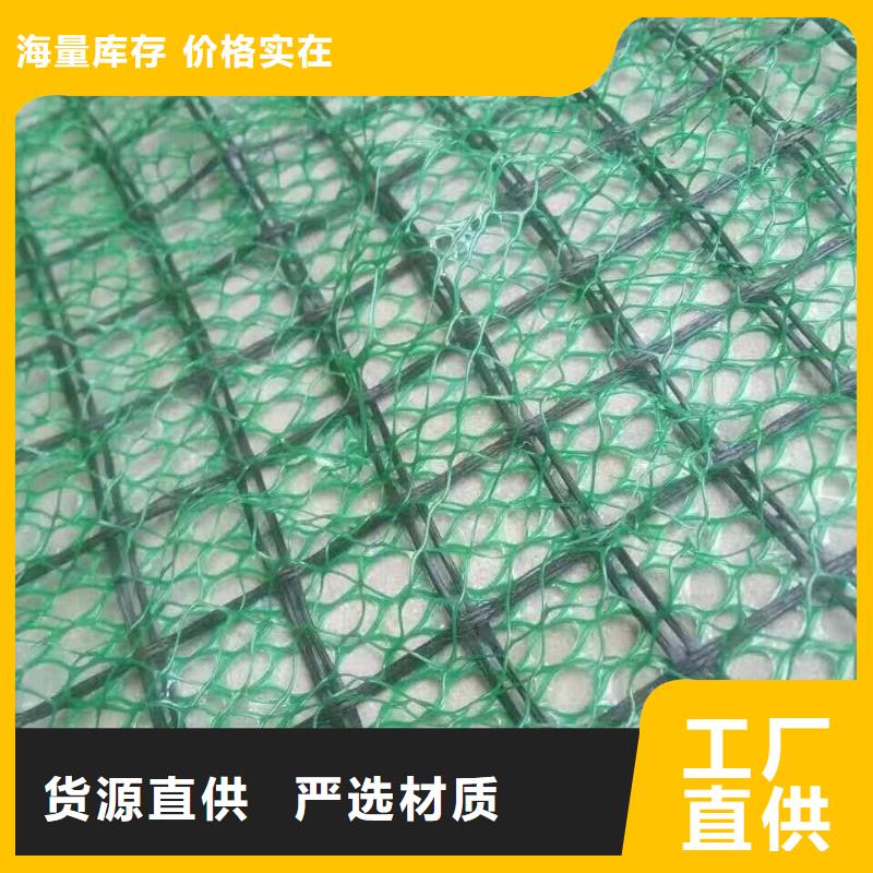 三維植被網(wǎng)施工圖片-可定制生產(chǎn)