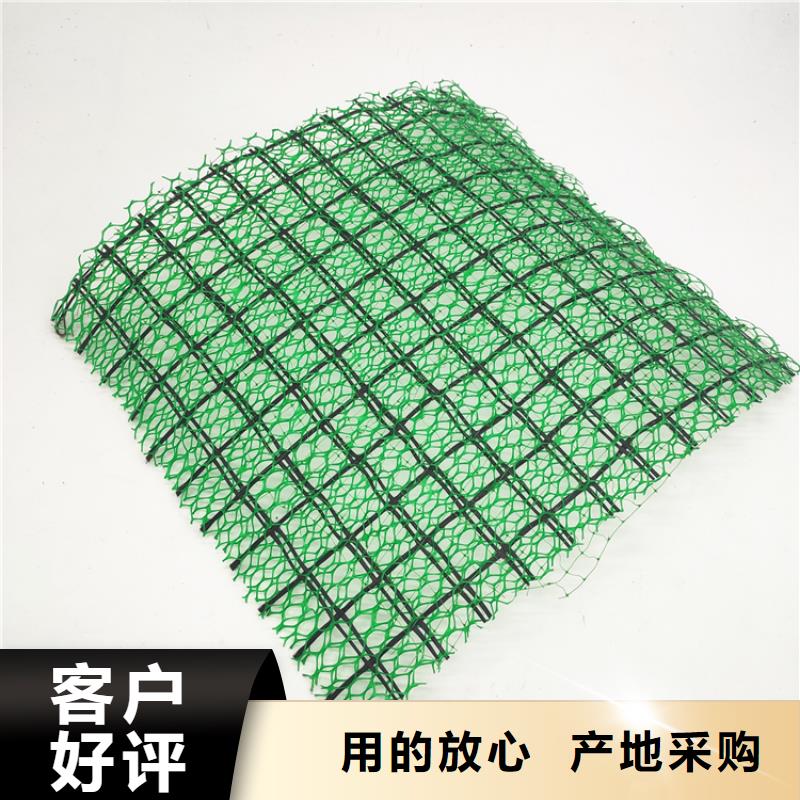 三維植被網(wǎng)玻纖土工格柵按需定做