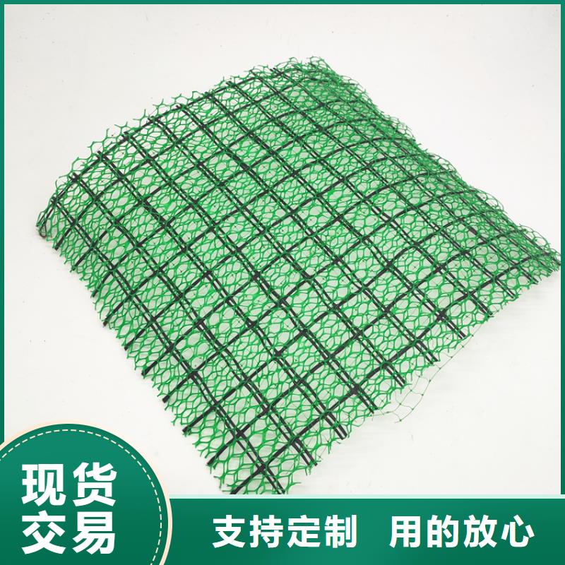 三維植被網,雙向塑料土工格柵精選好貨