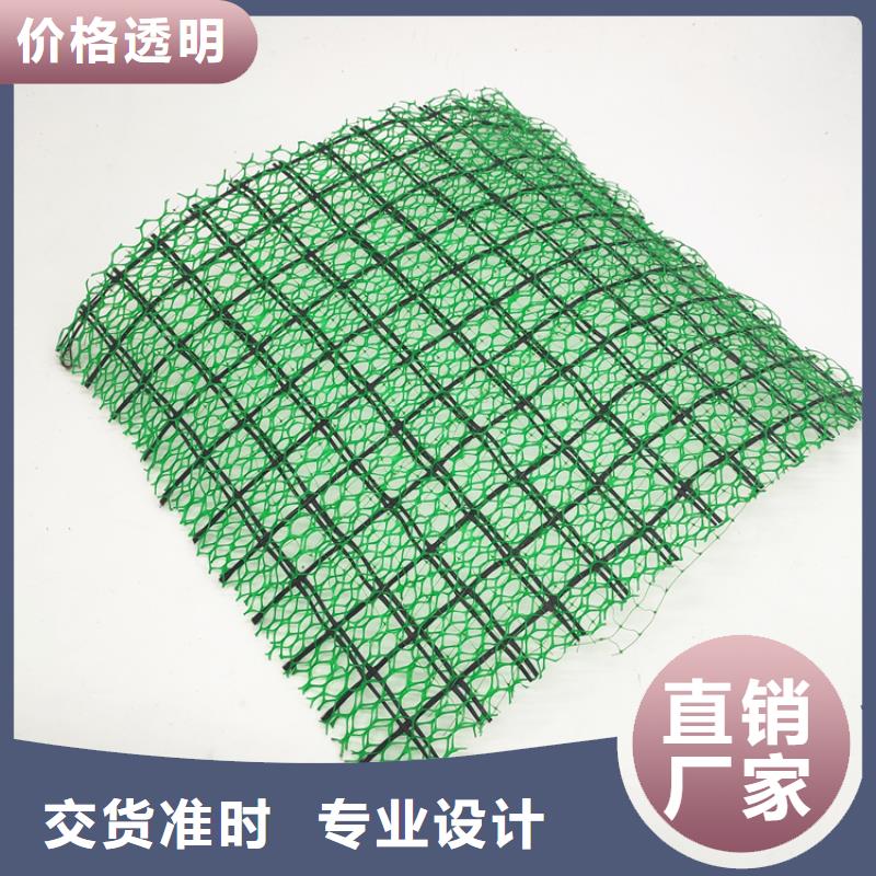 三維植被網施工圖片-可定制生產