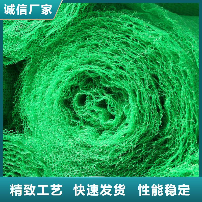 植生毯|三維植被網廠家|椰絲毯|三維抗侵蝕防護毯