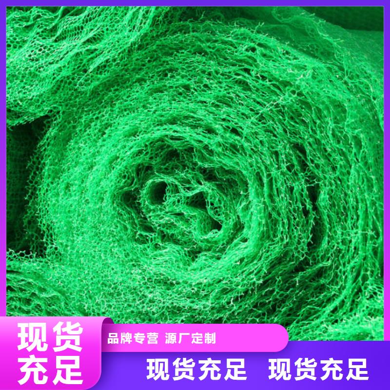 三維植被網有什么作用、價格是多少