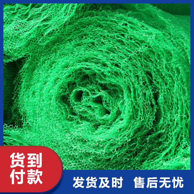 三維土工網墊廠家好貨源好價格-億路通新材料有限公司三維土工網墊技術參數