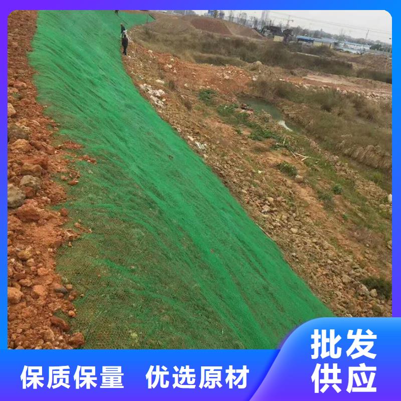 EM3三維植被網哪里有賣？-廠家地址