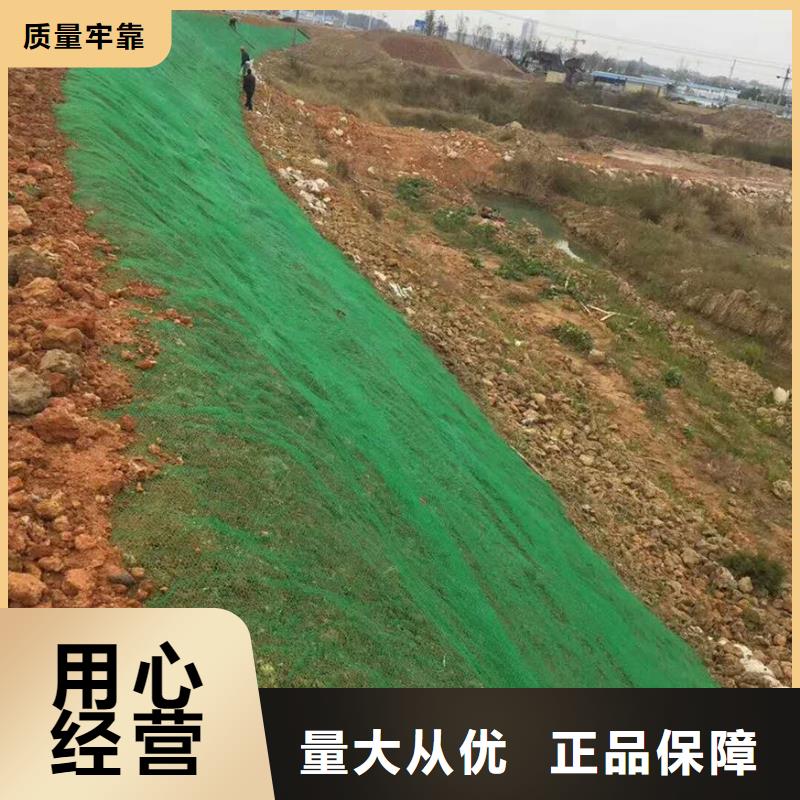 【三維植被網】_土工席墊現貨銷售