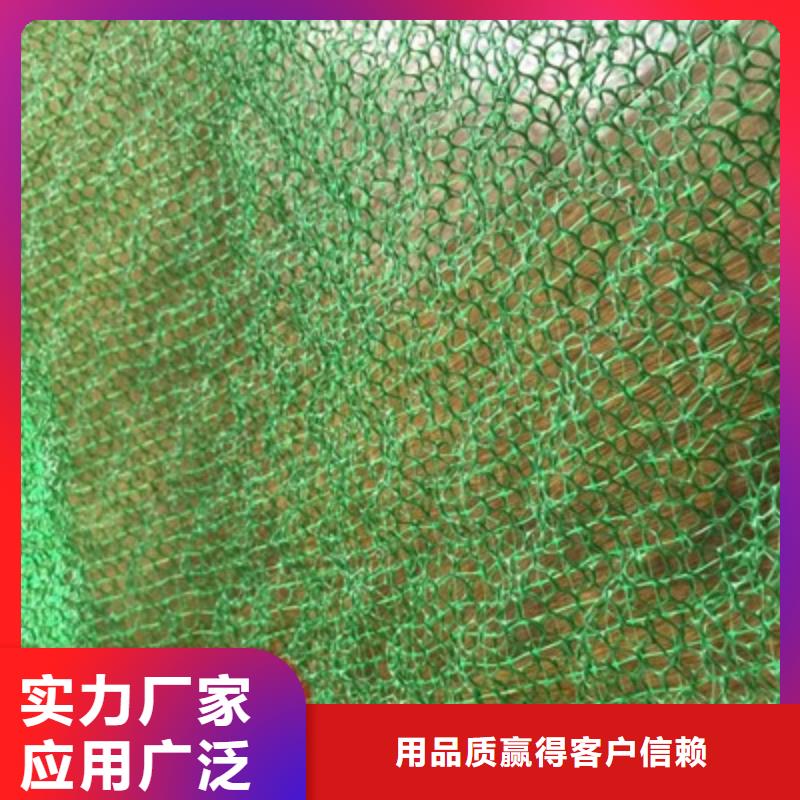 三維植被網(wǎng)聚丙烯雙拉土工格柵誠信商家服務(wù)熱情