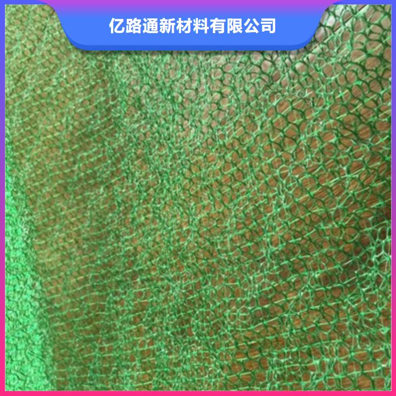 【三維植被網長絲無紡土工布大廠生產品質】