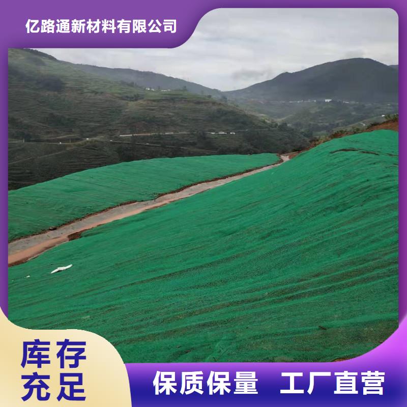 三維植被網【滌綸土工格柵】廠家