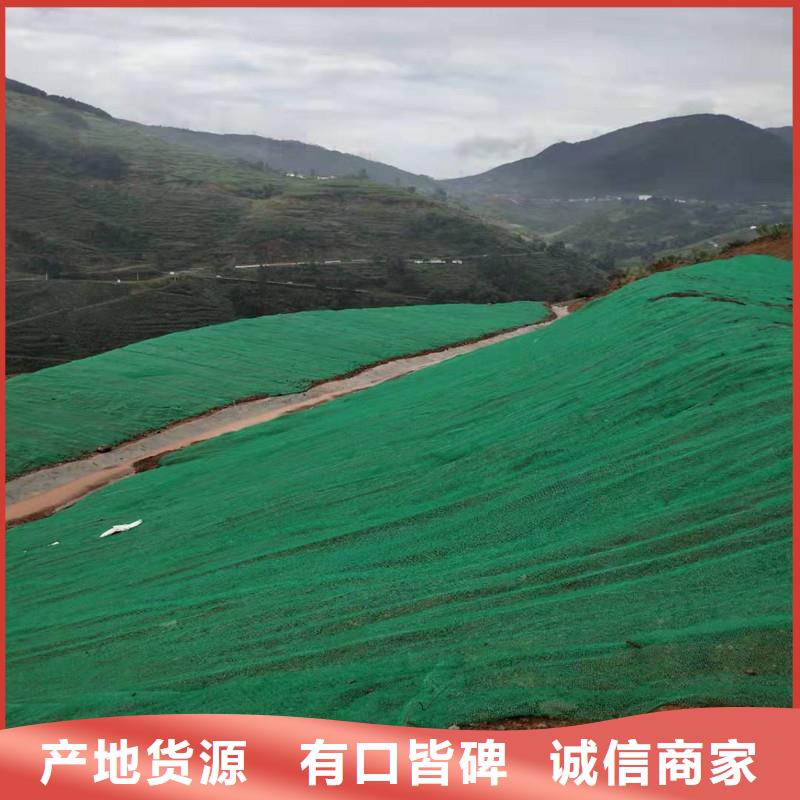 EM3三維植被網哪里有賣？-廠家地址