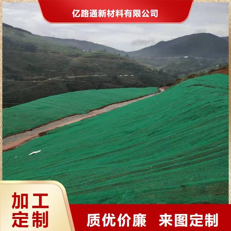 三維植被網玻璃纖維土工格柵歡迎來廠考察