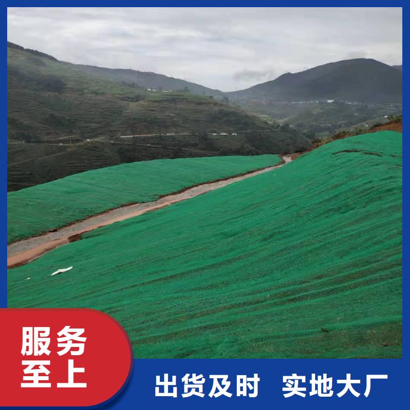 三維植被網施工圖片-可定制生產
