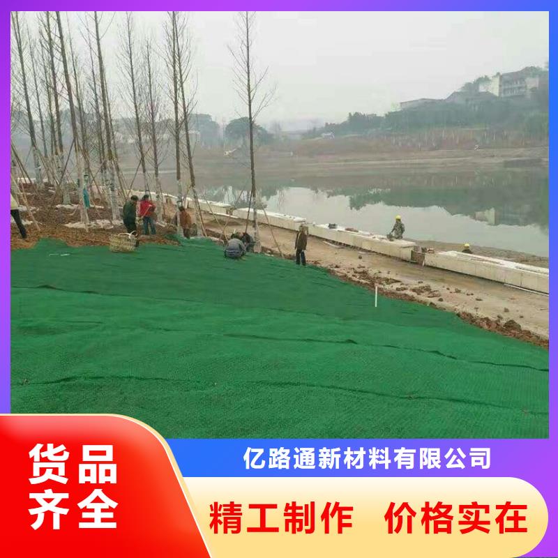 三維植被網(wǎng)|三維土工網(wǎng)墊【三維植被網(wǎng)廠家】
