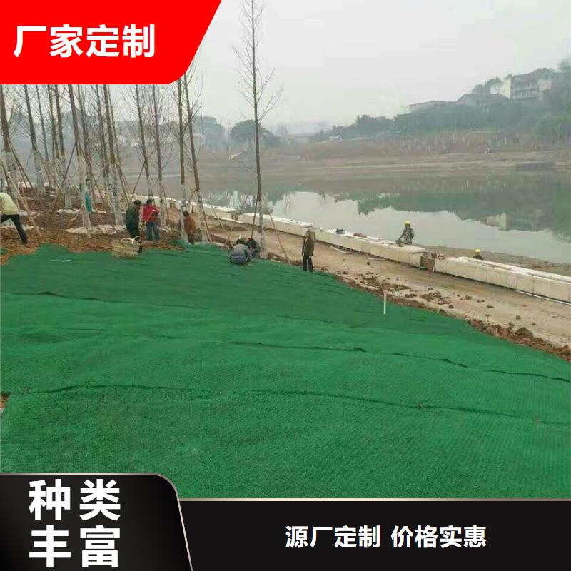 植生毯|三維植被網廠家|椰絲毯|三維抗侵蝕防護毯