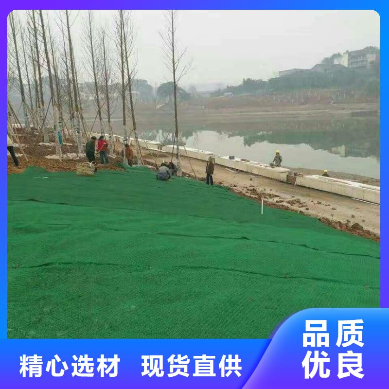 【三維植被網(wǎng)-長絲無紡?fù)凉げ紝I(yè)完善售后】