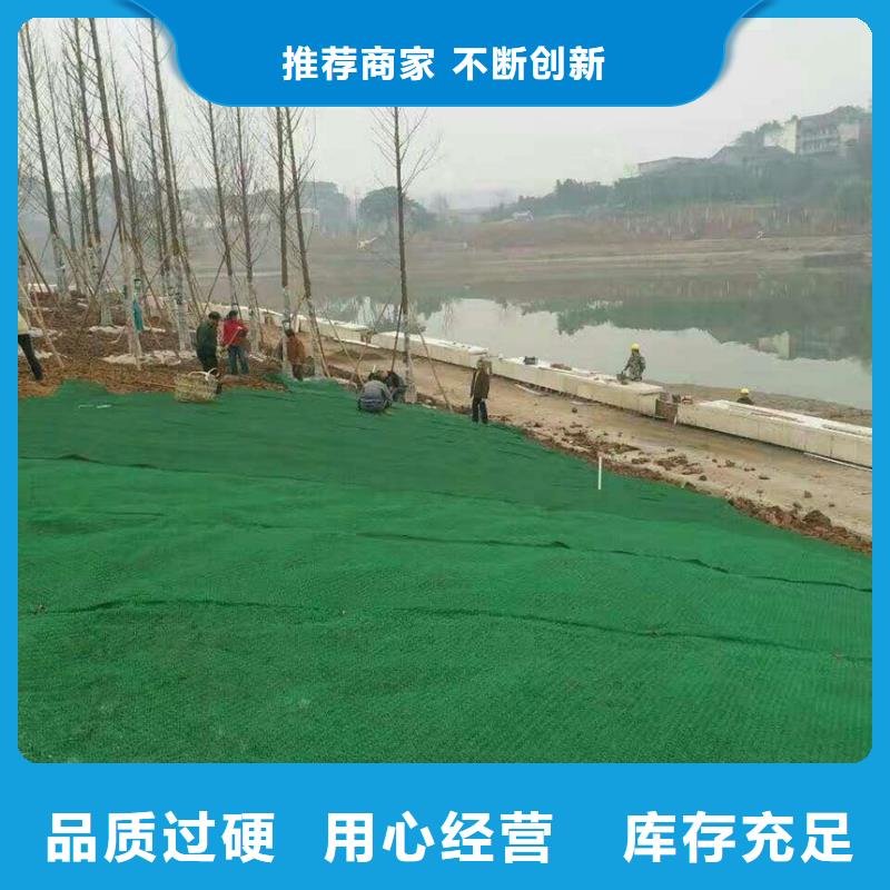三維植被網|三維土工網墊【三維植被網廠家】