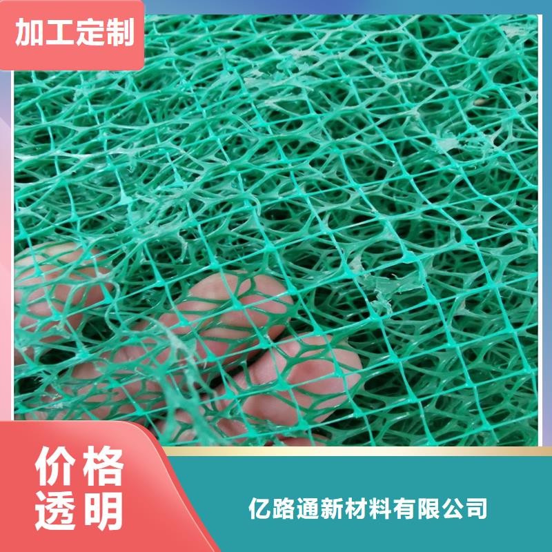 三維植被網【鋼塑土工格柵】廠家售后完善