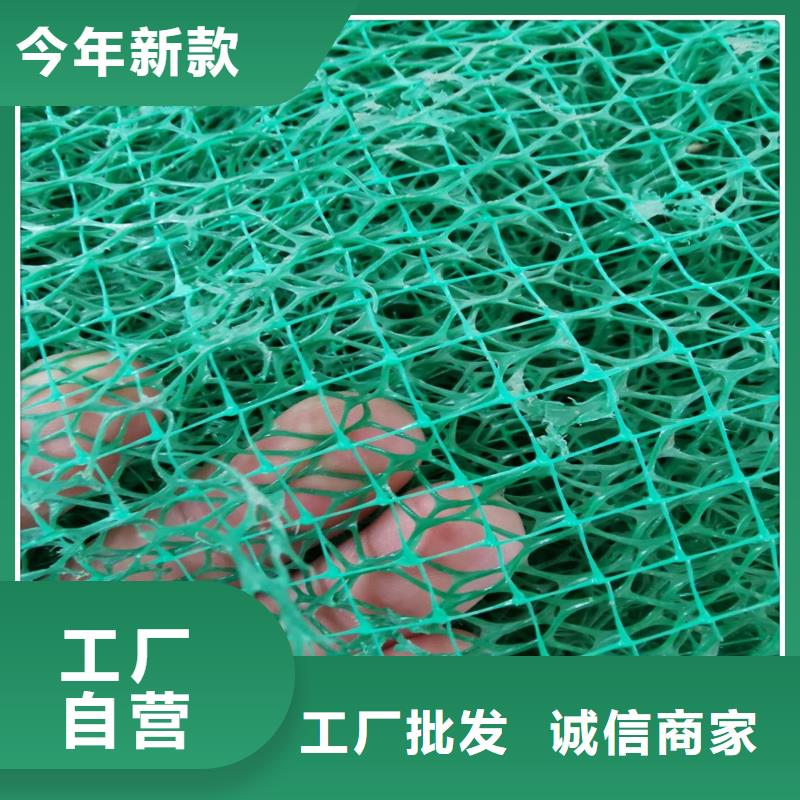 植生毯|三維植被網廠家|椰絲毯|三維抗侵蝕防護毯