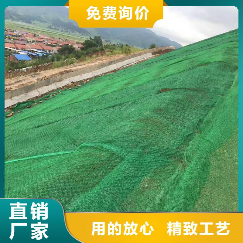 三維植被網防護-山東億路通廠家直銷